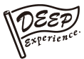 DeepExperience