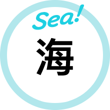 海