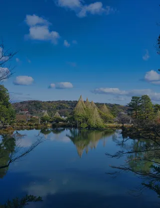 FrontXArea_010
