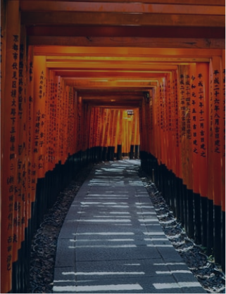 FrontXArea_003