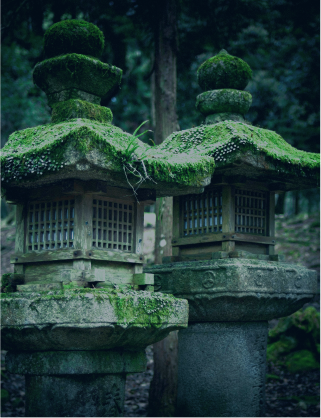 FrontXArea_006