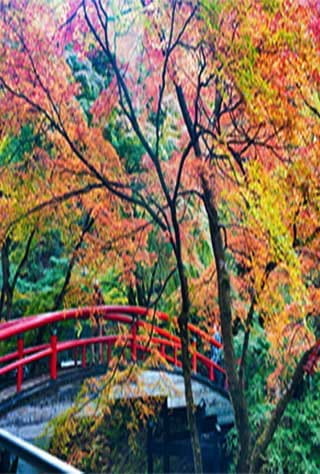 Gunma Central Region