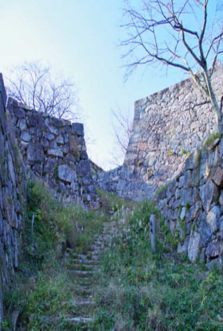 米子・境港エリア