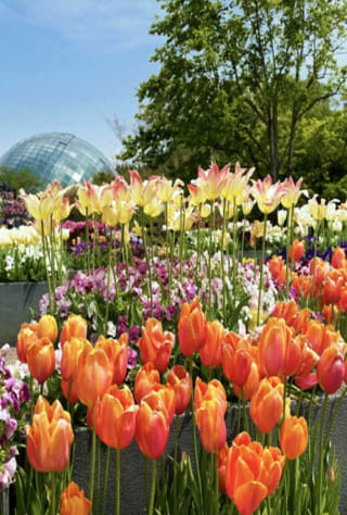 大山周辺エリア