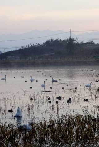 Daisen, Lake Tazawa, Kakunodate