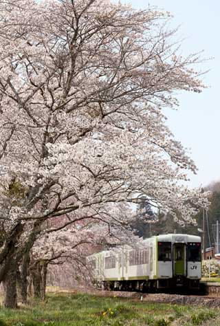Fukushima Central Region