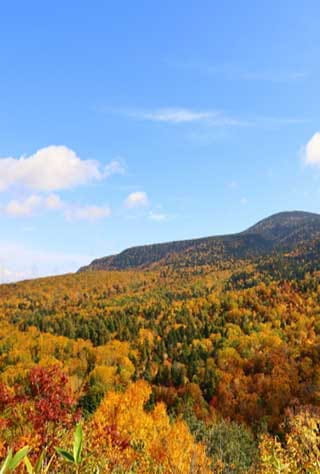 Okitama (Oitama) Region