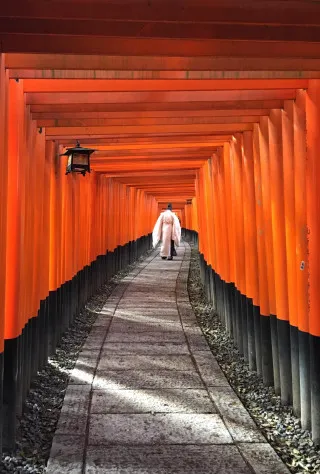 Fushimi & Uji