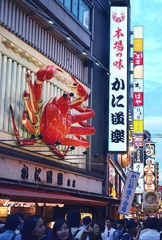 Osaka City Minami Area(Shinsaibashi, Namba, Nipponbashi)