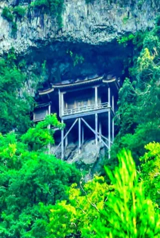 中部エリア