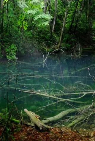 Shirakami, Noshiro, Yamamoto