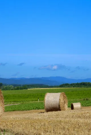 Asahikawa & Hokkaido North