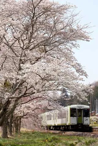 Fukushima Central Region