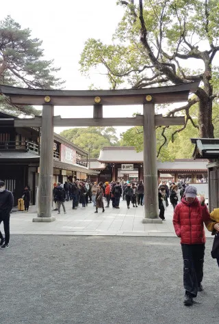 Harajuku & Omotesando