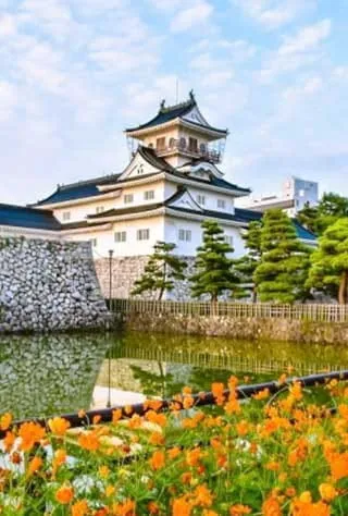 Toyama