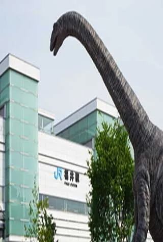 Fukui City