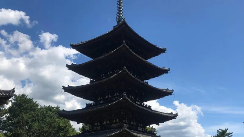 摘要