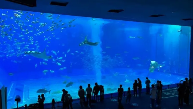 Churaumi Aquarium