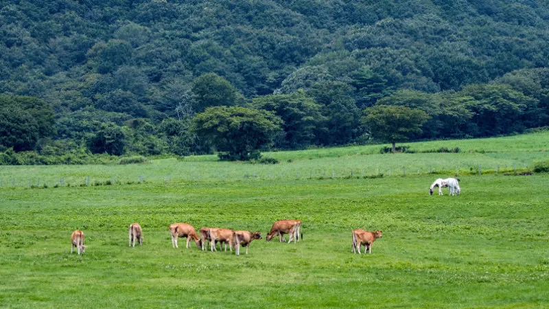 岡山県　休暇村蒜山高原