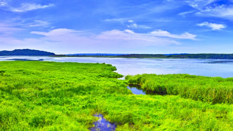 Kushiro Marsh