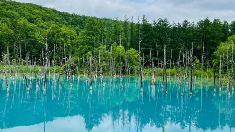 Shirogane Blue Pond