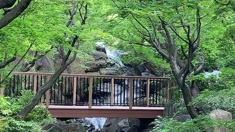 In harmony with nature