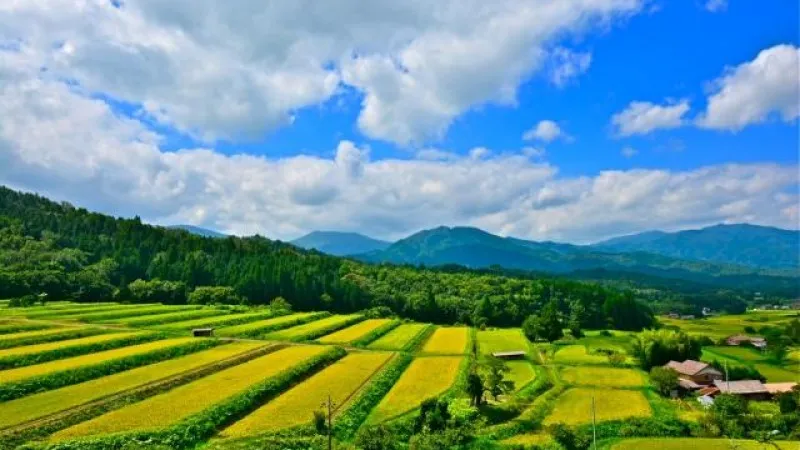 奥出雲町・大原新田付近