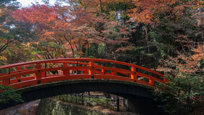 Kitano Tenmangu Shrine