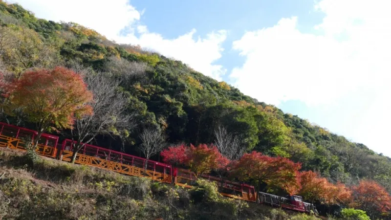 Sagano Trolley Train