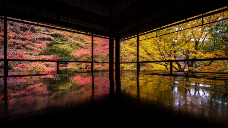 Rurikouin temple (in Kyoto)