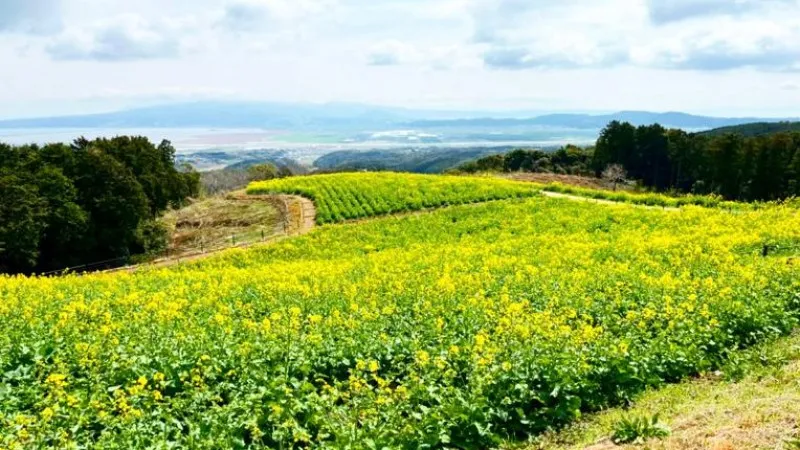 白木峰高原