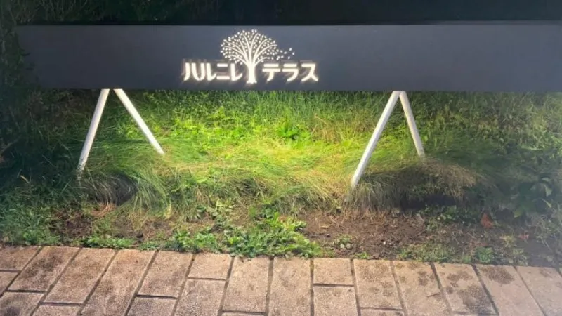 ハルニレテラス