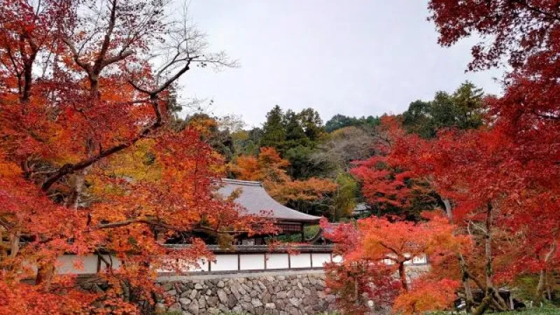 Shouryaku-ji Temple (one of the six sects of Buddhism)