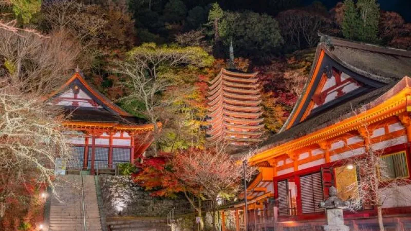 Tanzan Shrine
