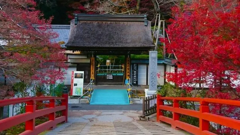 Murasaki Temple