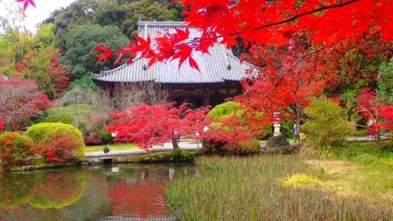 Chogaku-ji Temple