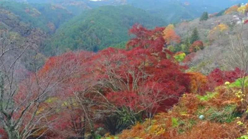 Yoshino Mountain