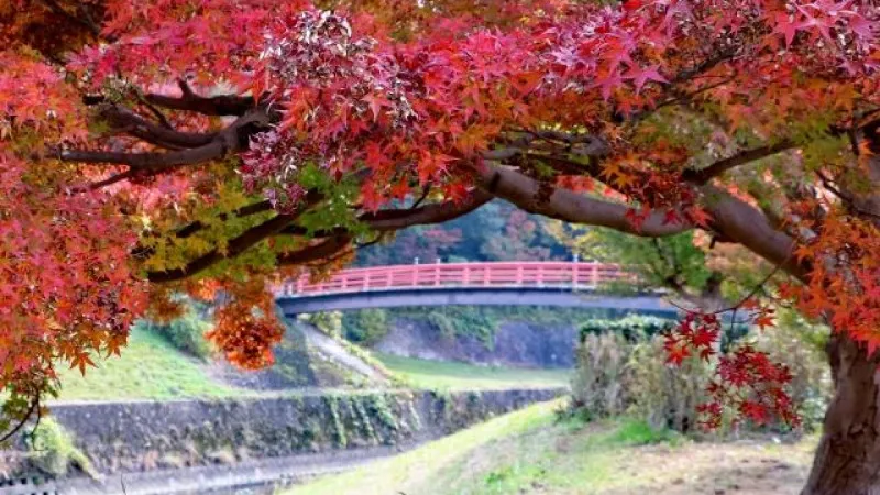 Ryuta Park