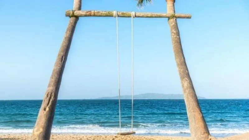 ヤシの木ブランコ