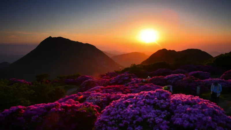 高千穂峰