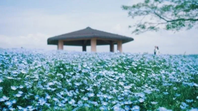 海の中道海浜公園
