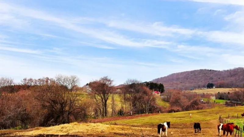 Haiji Farm