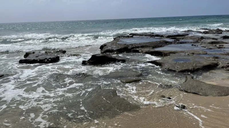 奄美大島とは…