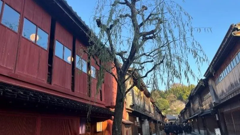 「金泽四暮（原森永屋）」柳树在前