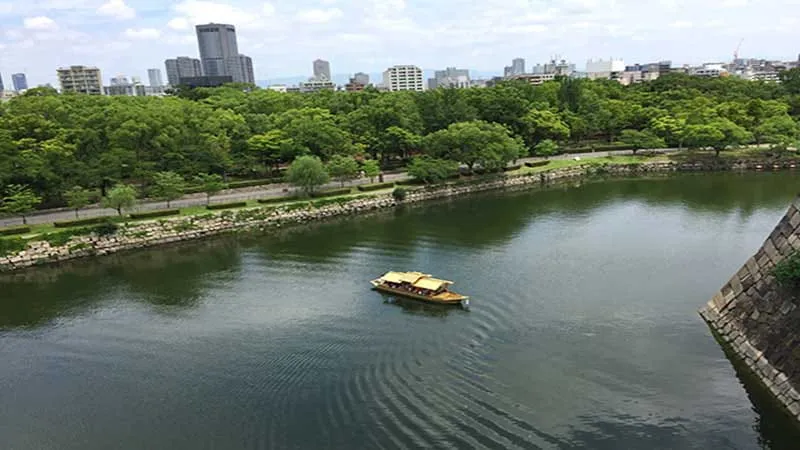 基本情報