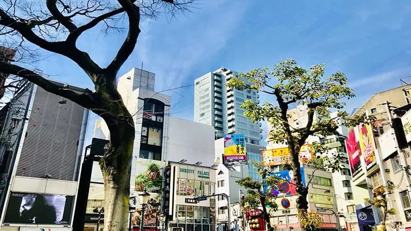 시설 주변 정보