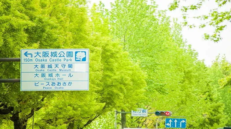 施設の周辺情報