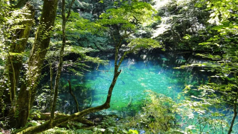 Twelve Lakes