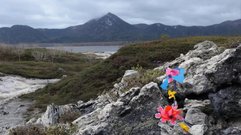Dread Mountain Reef