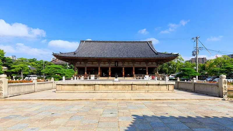 基本情報